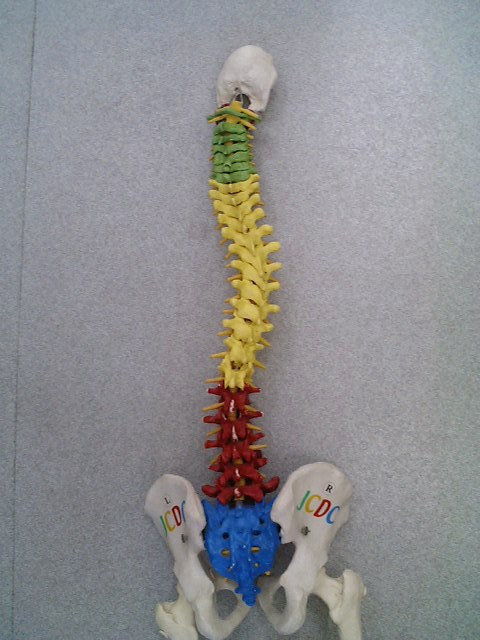 �R�`�s���̉@